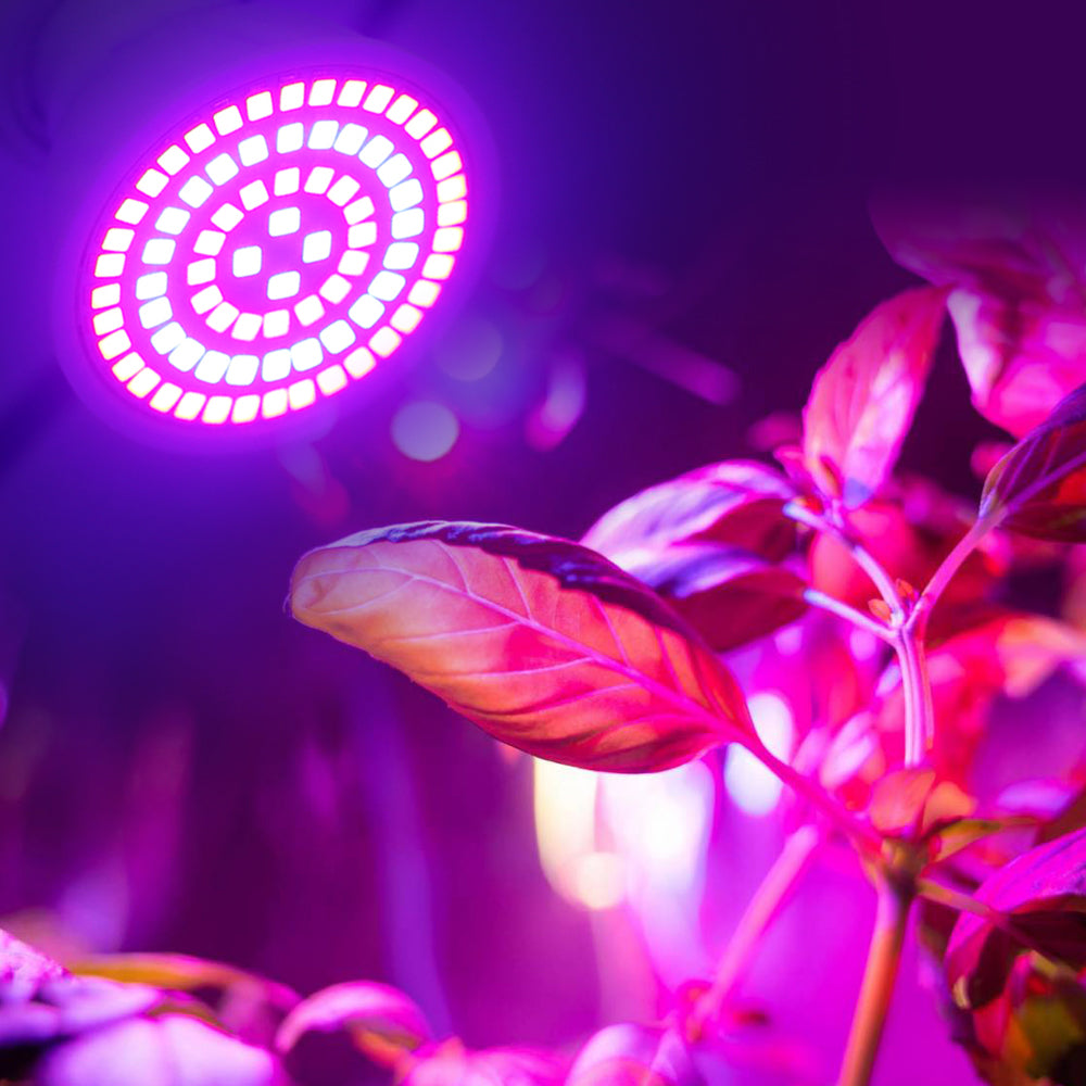 Grow Bulbs 220V E27 Full Spectrum Plant Light