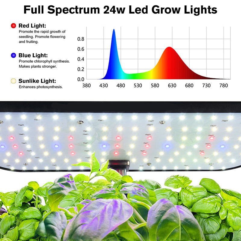 Hydroponic System Kit: 12-Hole Indoor Soilless Grow Box