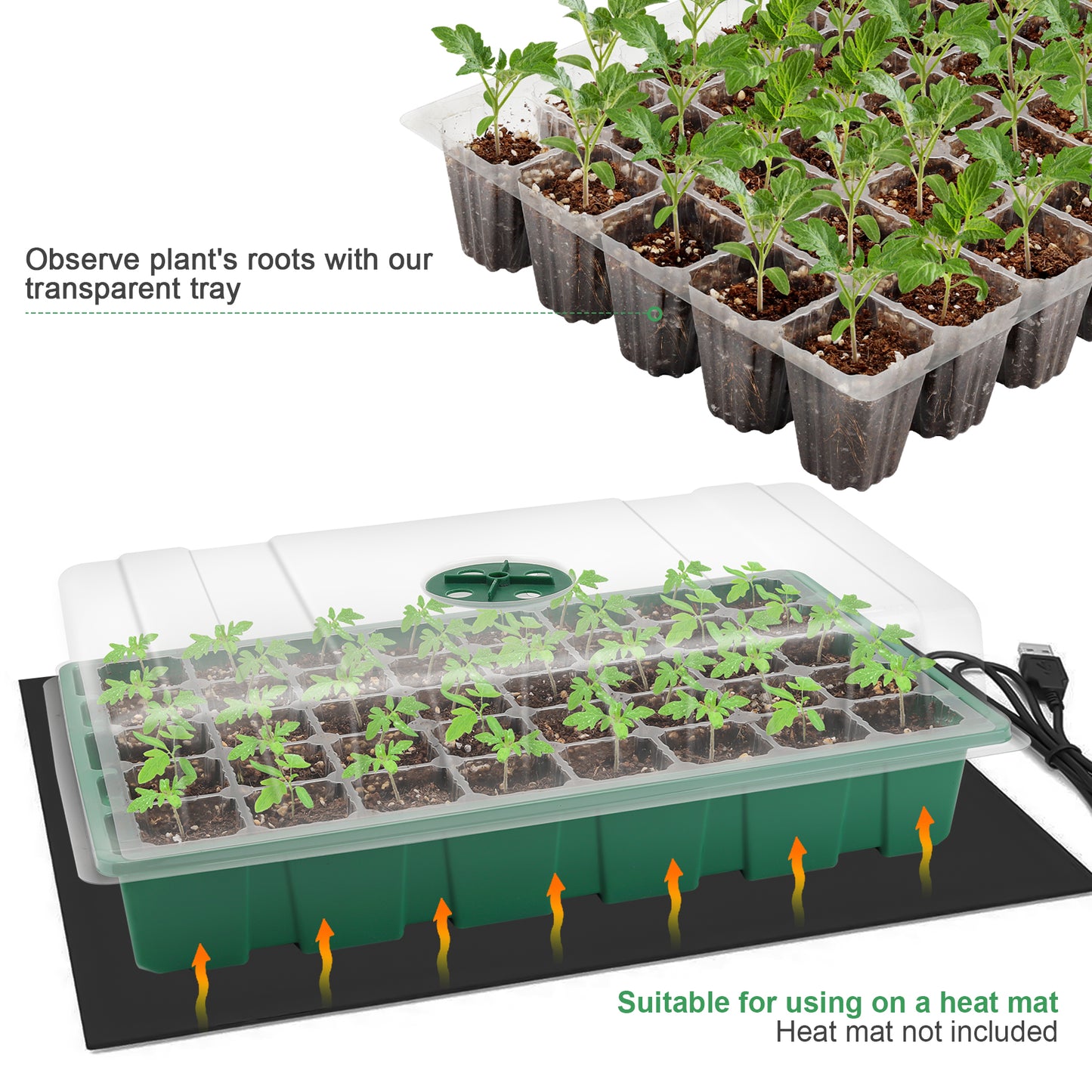 Seed Tray 3pcs, 40-Cell Propagator with Cover for Greenhouse