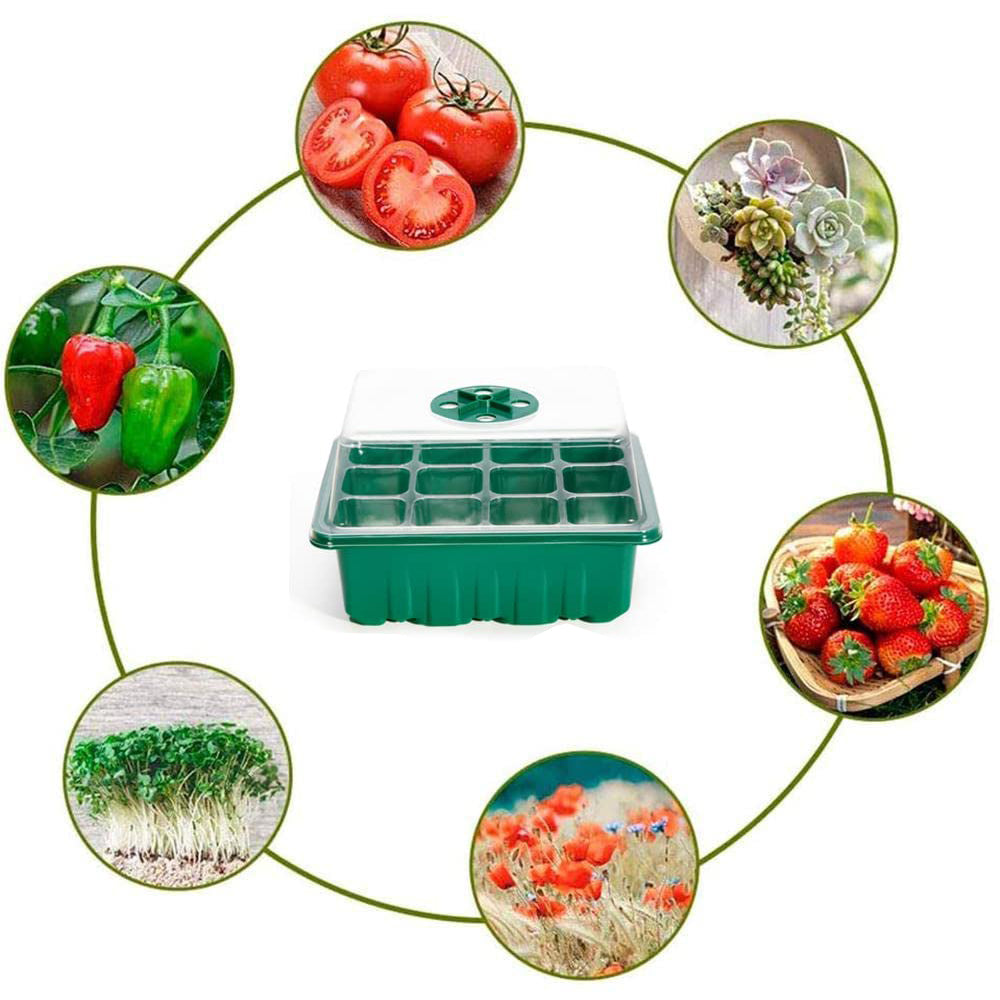 Seed Tray Kit: Mini Greenhouse for Germination