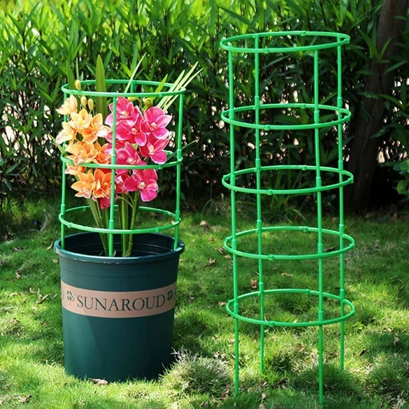Plant Stakes - 12 Set Half Round Vines & Bonsai Holder