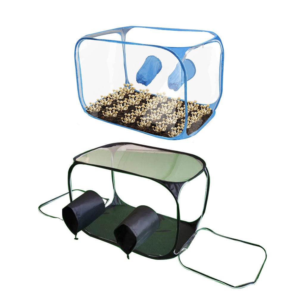 Mushroom Grow Kit: Portable Still Air Box & Fume Hood