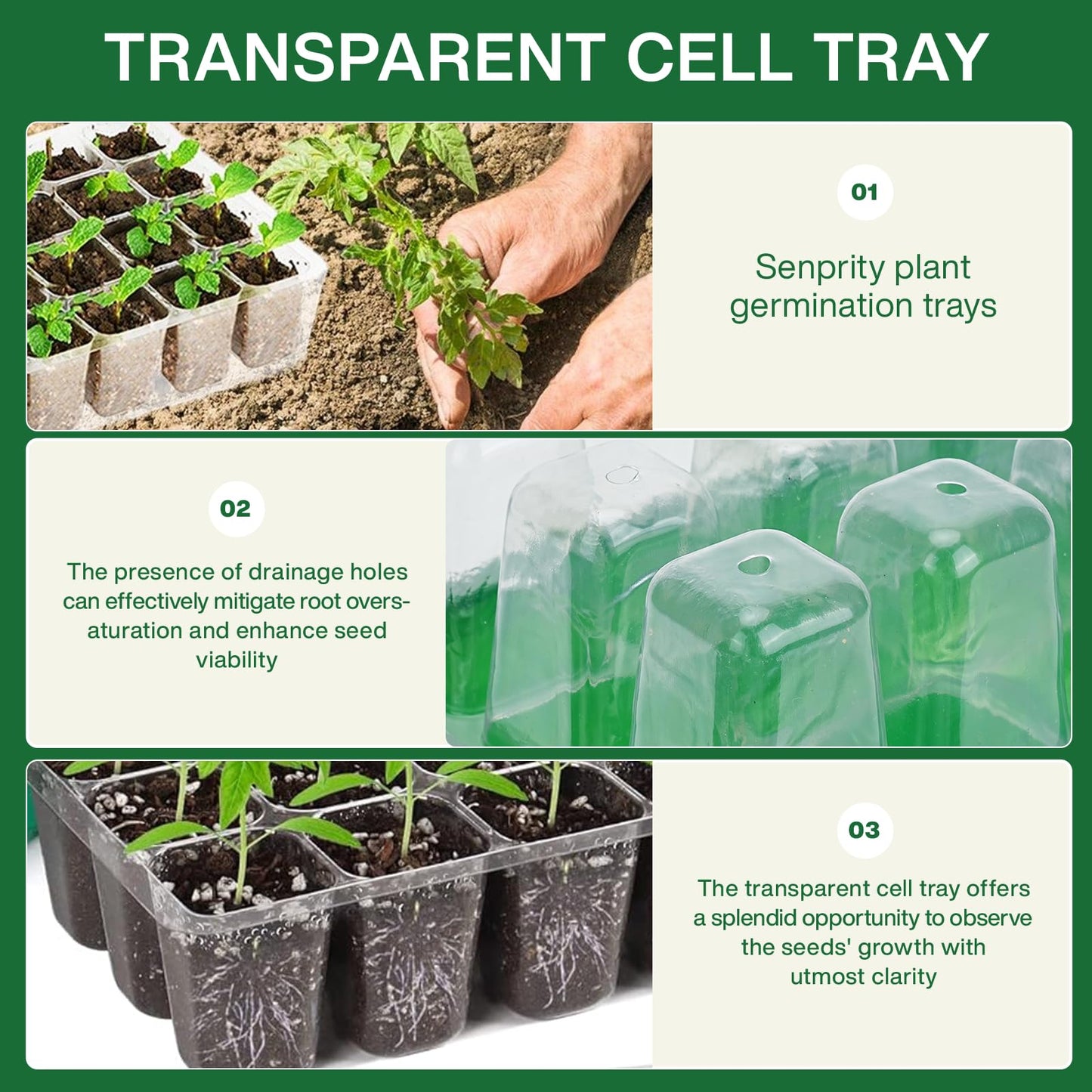 Seed Tray Kit: Mini Greenhouse for Germination