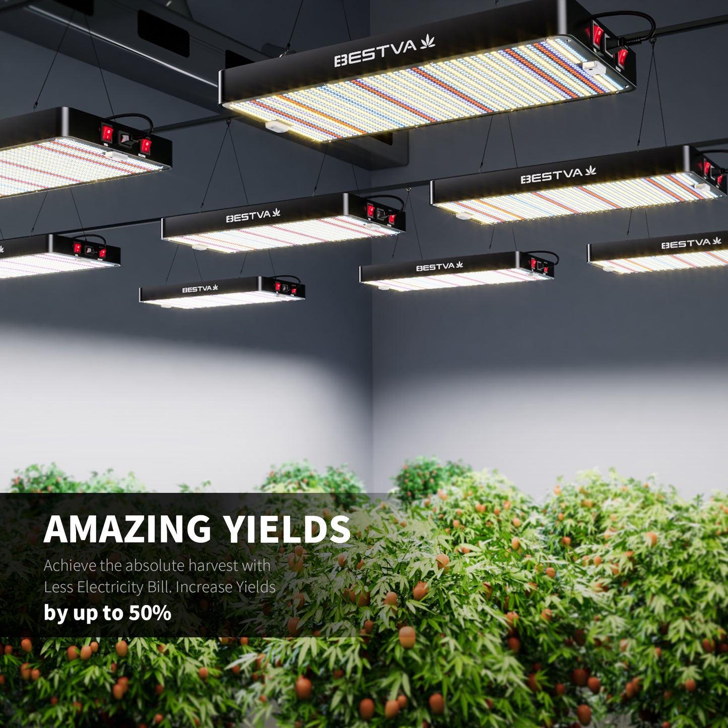 Full Spectrum Grow Light - BESTVA DC1000 for Indoor Plants