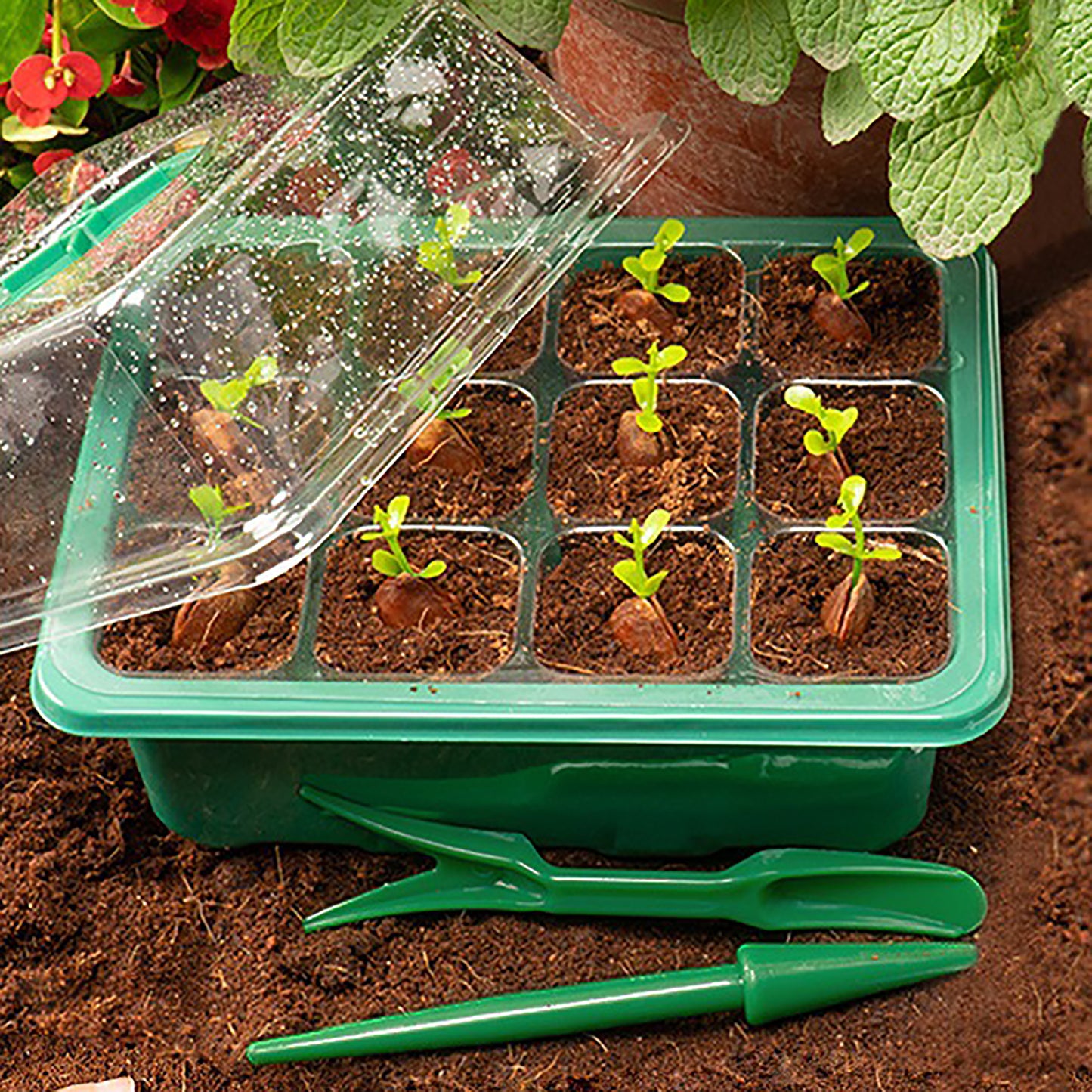 LED Grow Light for Seedling Trays & Flower Pots