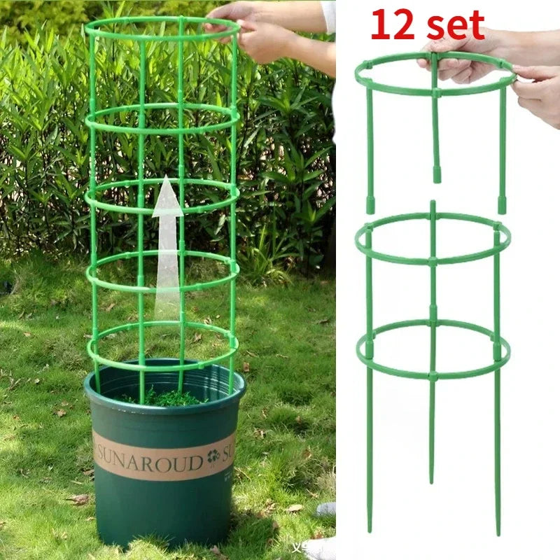 Plant Stakes - 12 Set Half Round Vines & Bonsai Holder