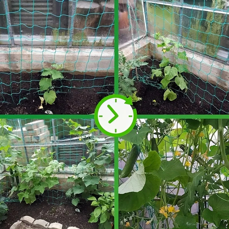 Plant Trellis Pergolas: Heavy-Duty Polyester Grow Net