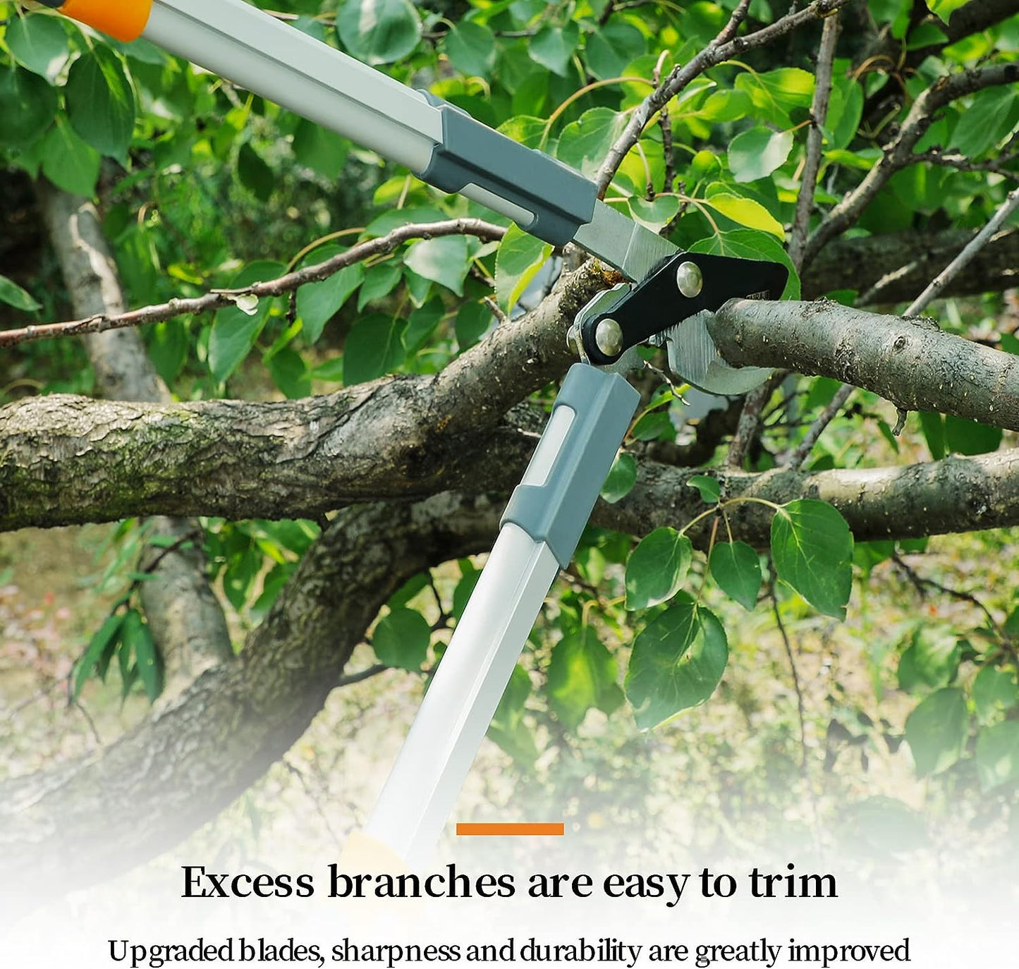 Pruning Shears: Pro Garden & Bonsai Pruner Tool
