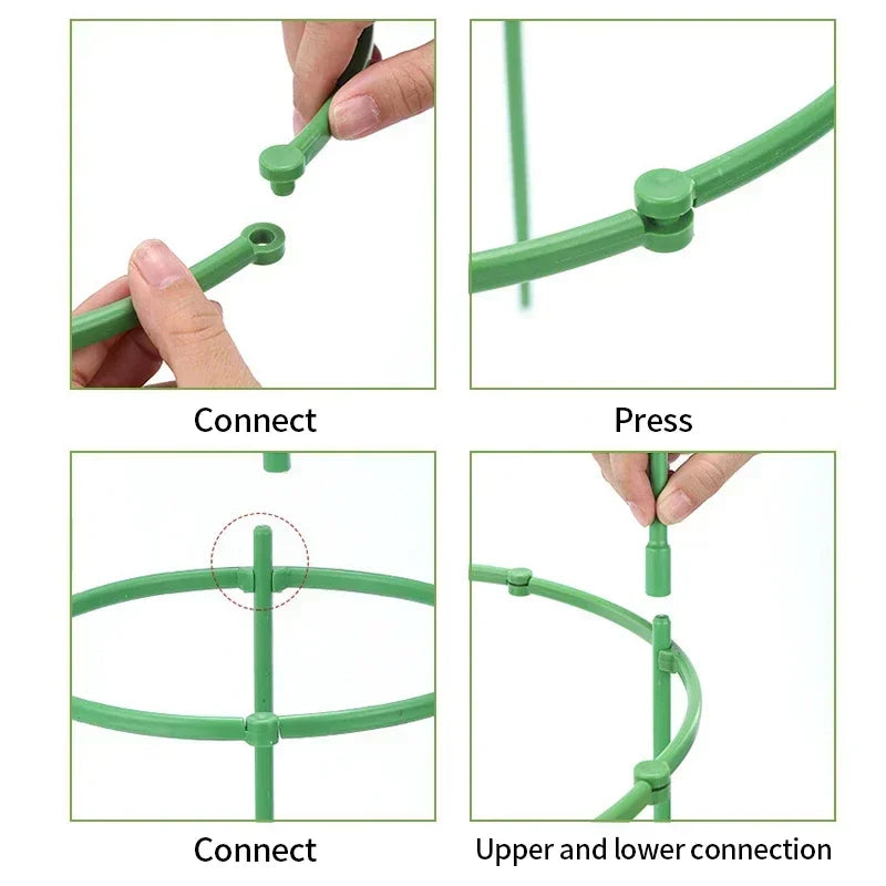 Plant Stakes - 12 Set Half Round Vines & Bonsai Holder