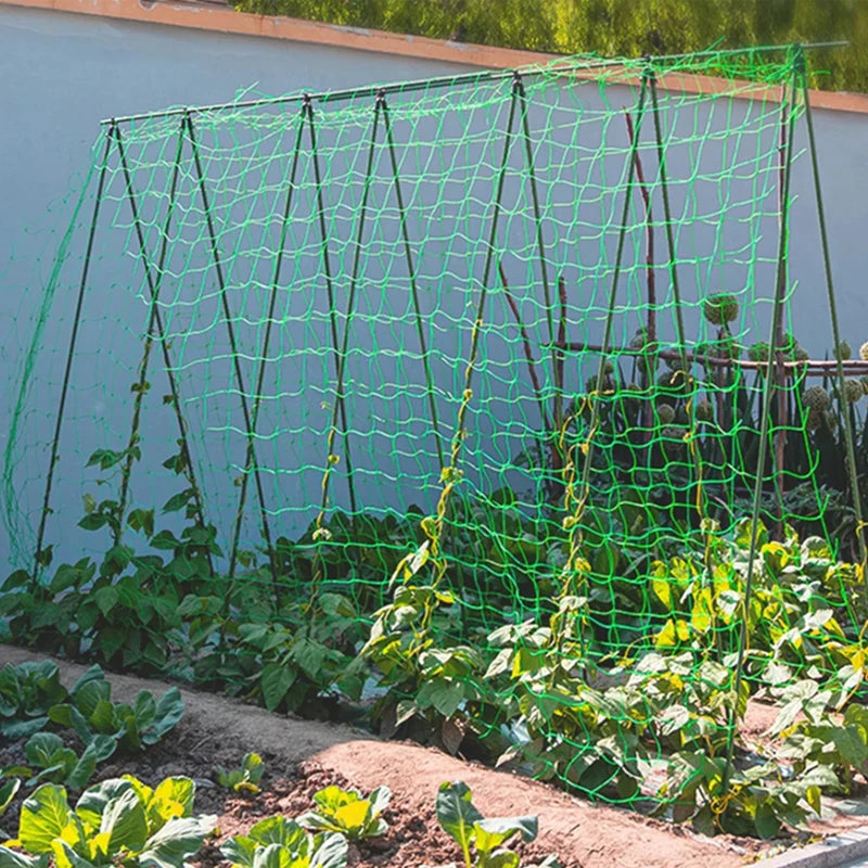 Plant Trellis Pergolas: Heavy-Duty Polyester Grow Net