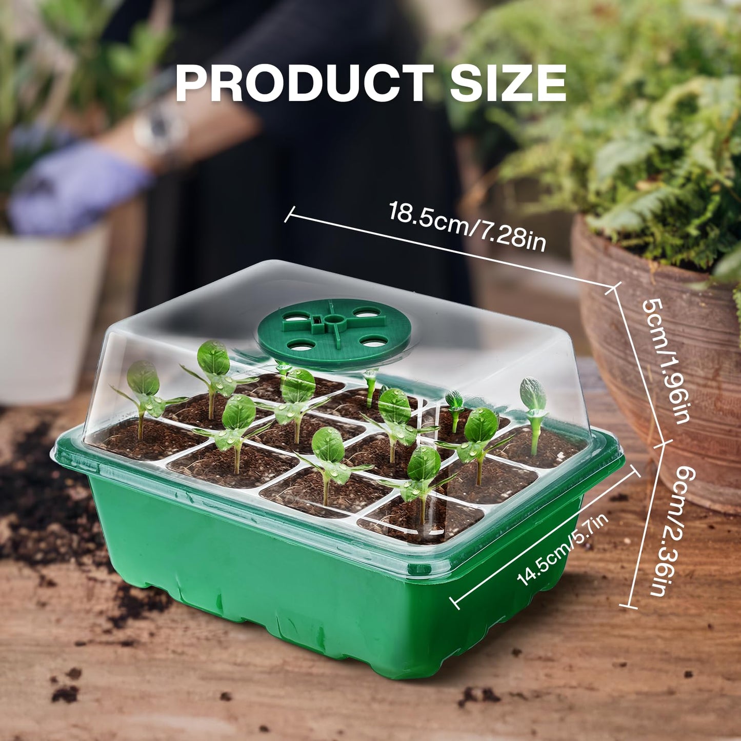 Seed Tray Kit: Mini Greenhouse for Germination