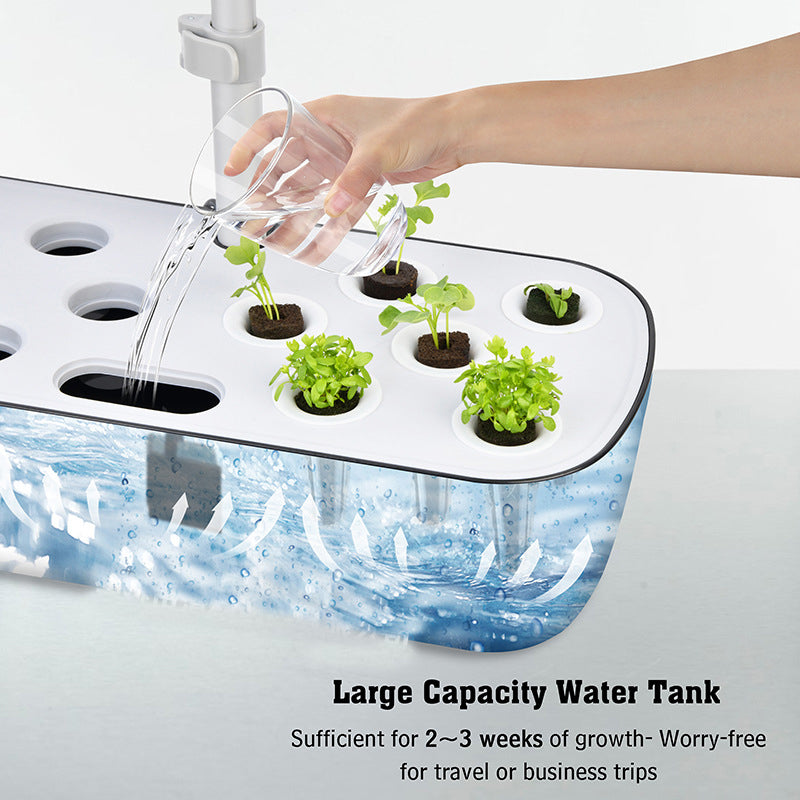 Hydroponic System Kit: 12-Hole Indoor Soilless Grow Box
