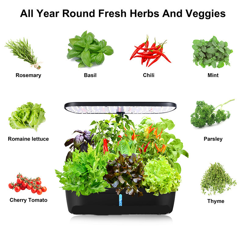 Hydroponic System Kit: 12-Hole Indoor Soilless Grow Box