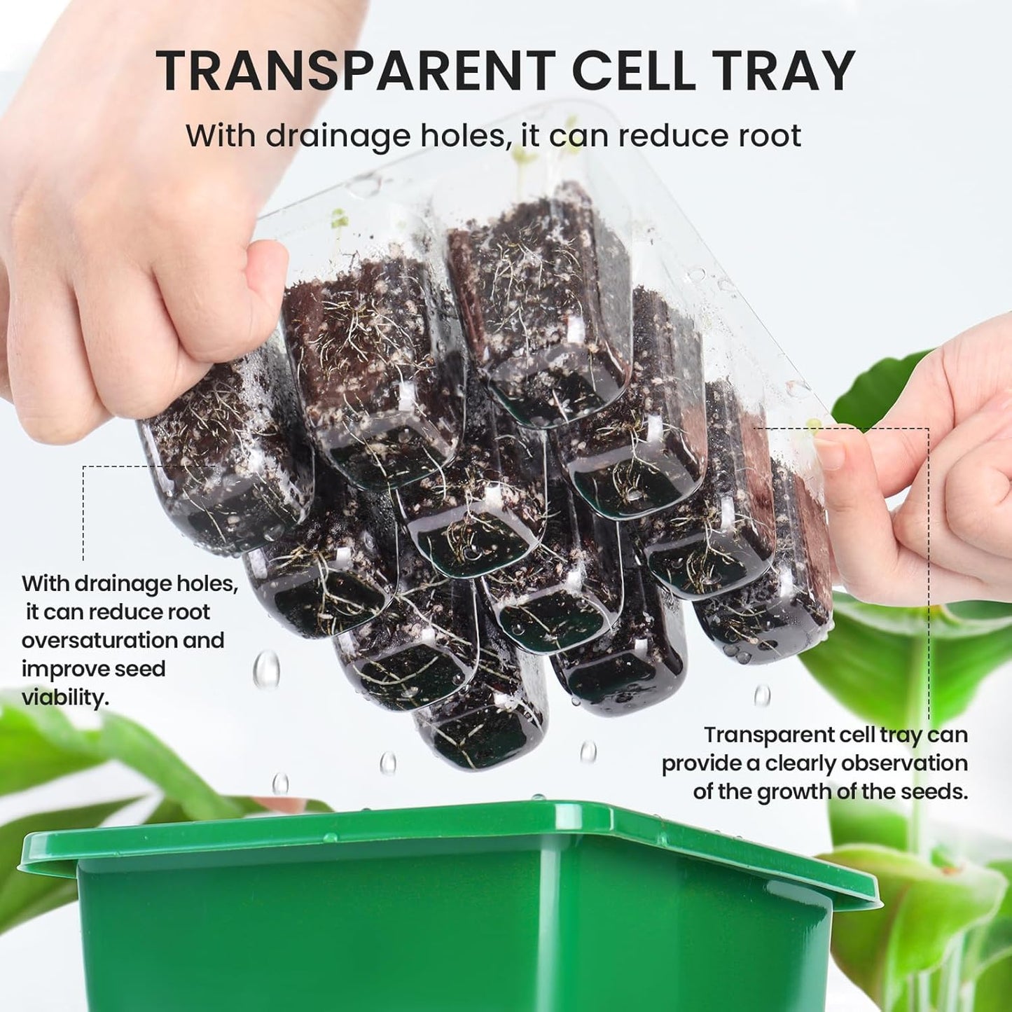 Seed Tray Kit: Mini Greenhouse for Germination