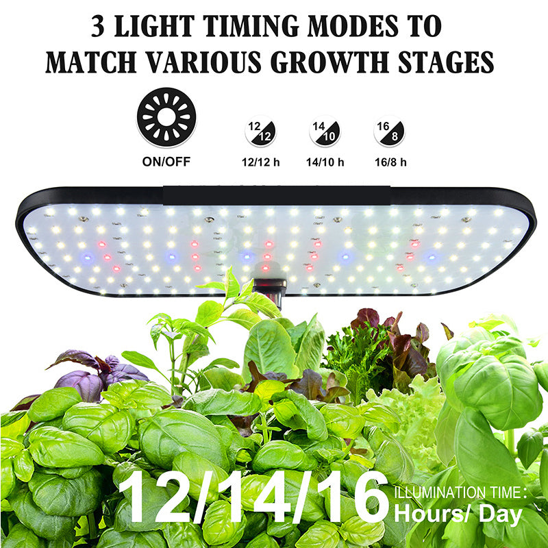 Hydroponic System Kit: 12-Hole Indoor Soilless Grow Box