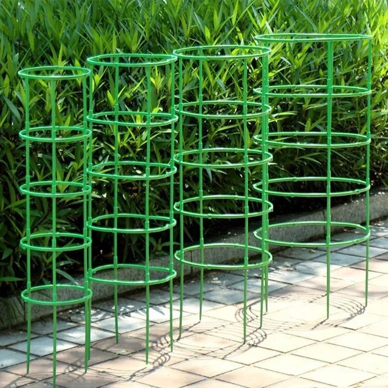 Plant Stakes - 12 Set Half Round Vines & Bonsai Holder