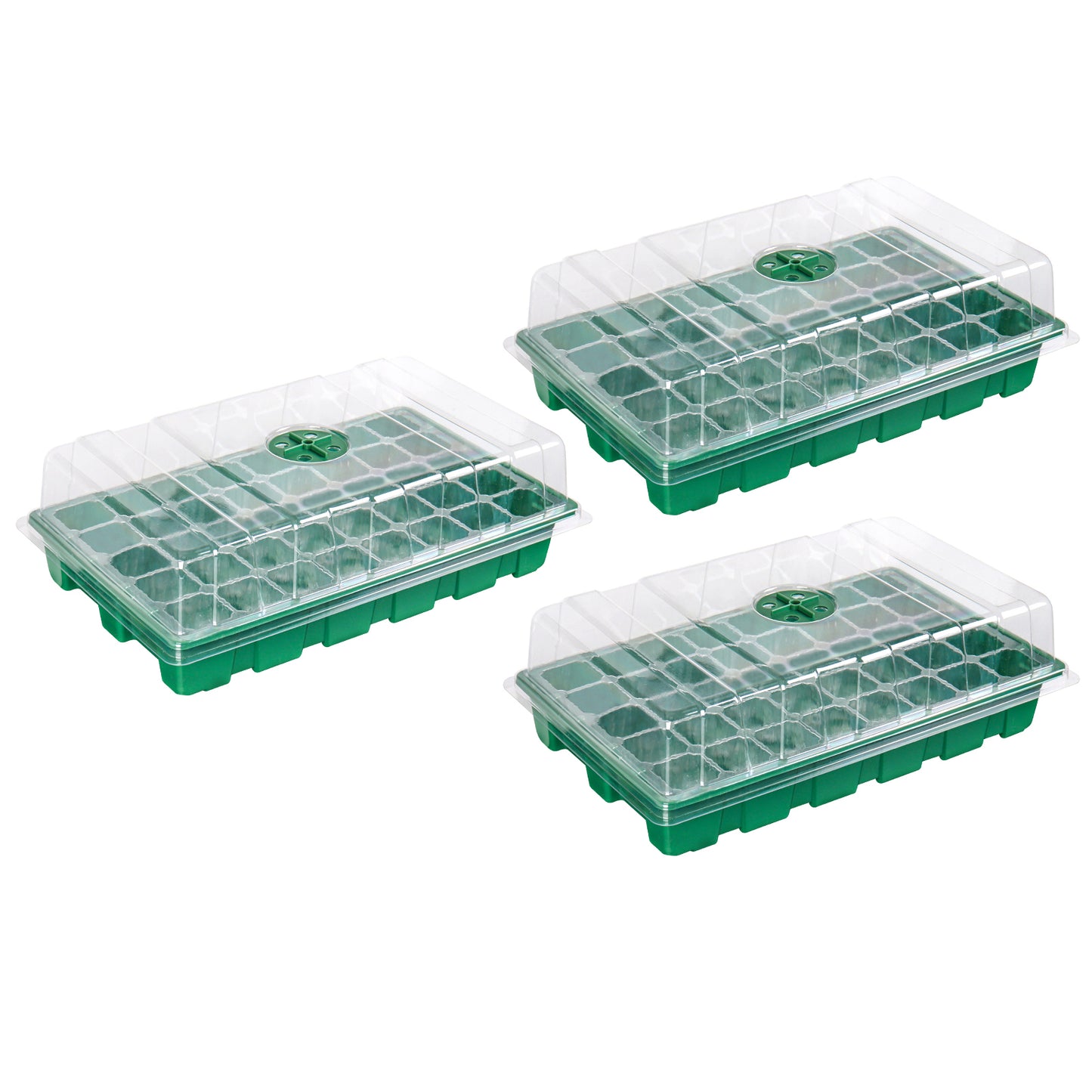 Seed Tray 3pcs, 40-Cell Propagator with Cover for Greenhouse