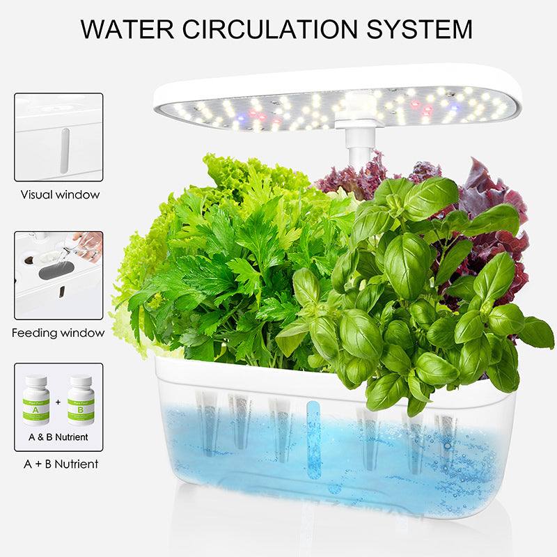 Hydroponic System Kit: 12-Hole Indoor Soilless Grow Box