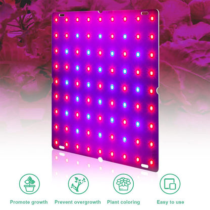 LED Grow Light Full Spectrum 81/169 Beads Hydroponic Lamp
