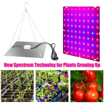 LED Grow Light Full Spectrum 81/169 Beads Hydroponic Lamp