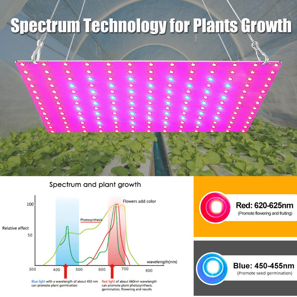 LED Grow Light Full Spectrum 81/169 Beads Hydroponic Lamp