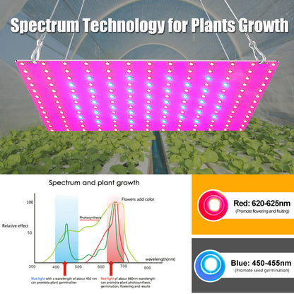LED Grow Light Full Spectrum 81/169 Beads Hydroponic Lamp