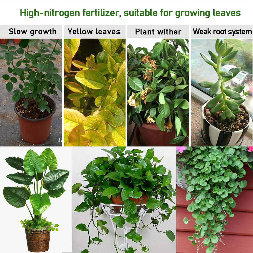 Plant Fertilizer - 60g Universal NPK Plant Food Fertilizer