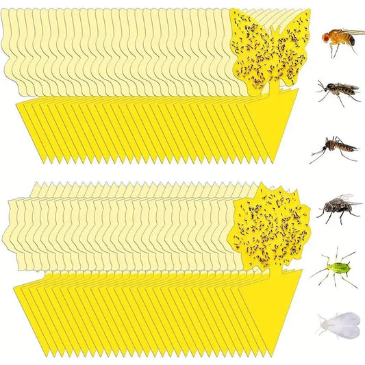 Plant Fly Traps: Insect Traps 20Pcs -  Non-Toxic Sticky Gnat Traps for Plants