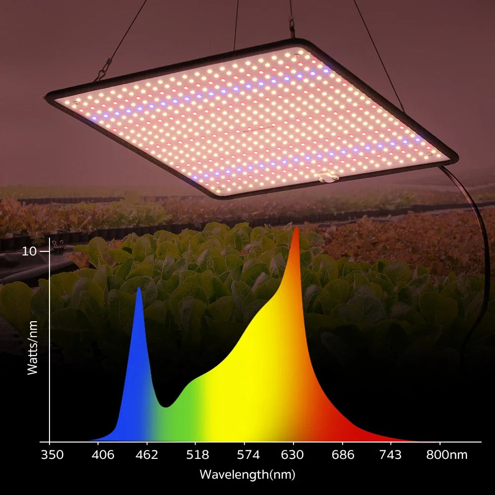40W LED Grow Light Full Spectrum for Indoor Plants