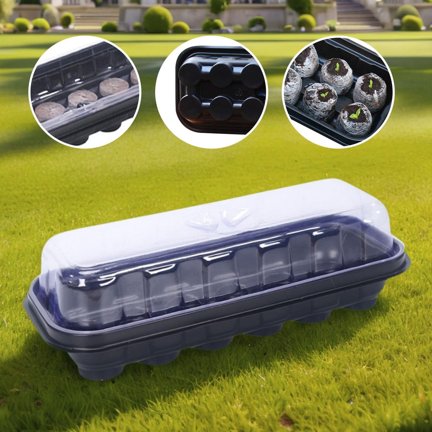 Seed Starter Trays 12-Cell Reusable for Greenhouse & Garden