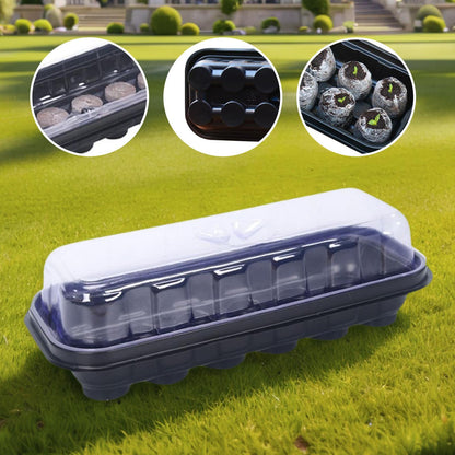 Seed Starter Trays 12-Cell Reusable for Greenhouse & Garden