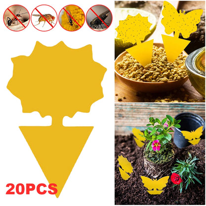 Plant Fly Traps: Insect Traps 20Pcs -  Non-Toxic Sticky Gnat Traps for Plants