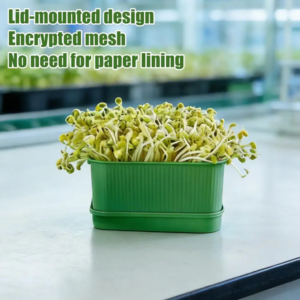 Seed Tray Garden Hydroponic Peanut Sprouting Planting Soilless Box Pot Mini Germination Greenhouse Germination Kits K5N7