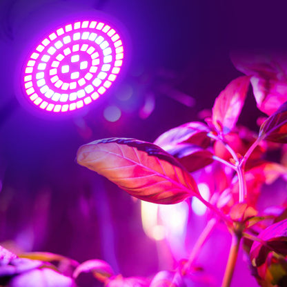 Grow Bulbs 220V E27 Full Spectrum Plant Light
