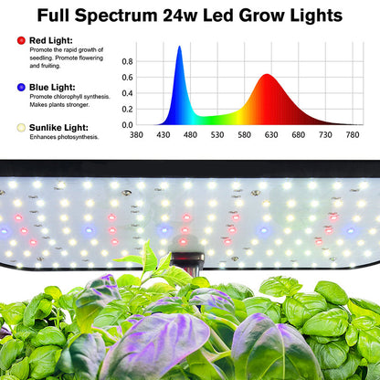 Hydroponic System Kit: 12-Hole Indoor Soilless Grow Box