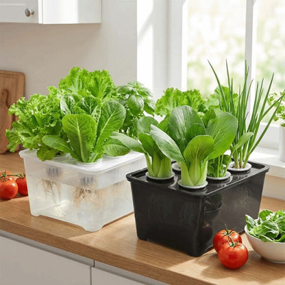 Hydroponic Grower Kit: 6-Hole Self-Watering Seedling Pots