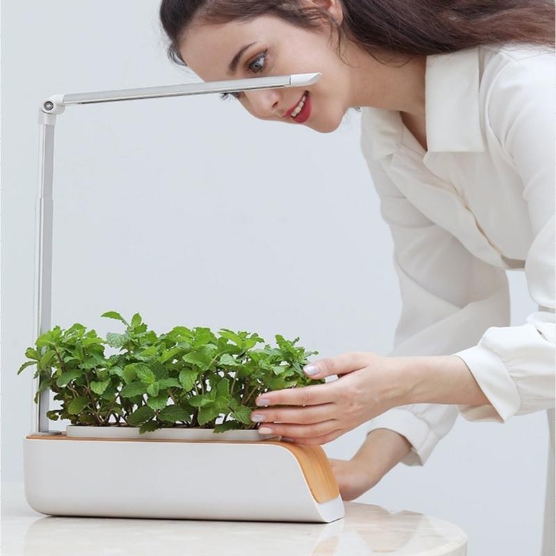 Hydroponic Plant System with Full Spectrum LED Lights