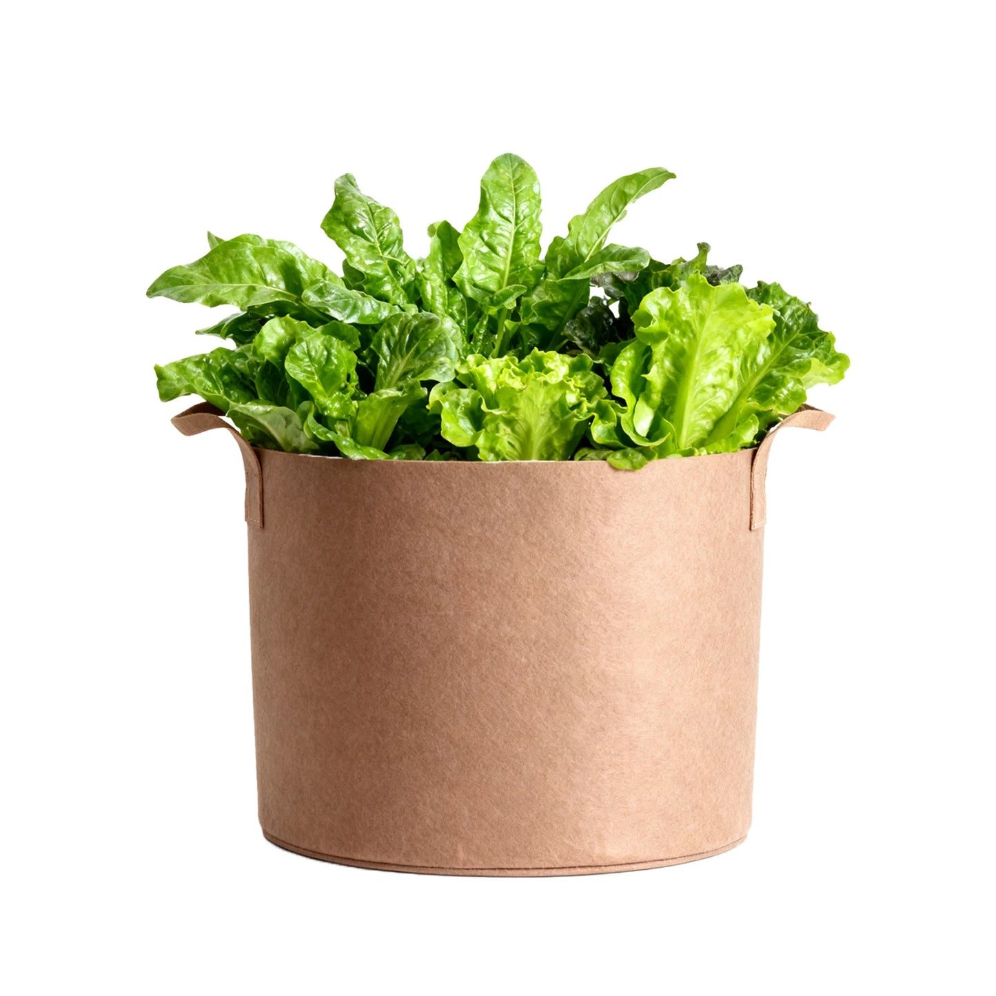 6/7/15 Gallon Grow Bags - Durable Fabric Planters with Handles