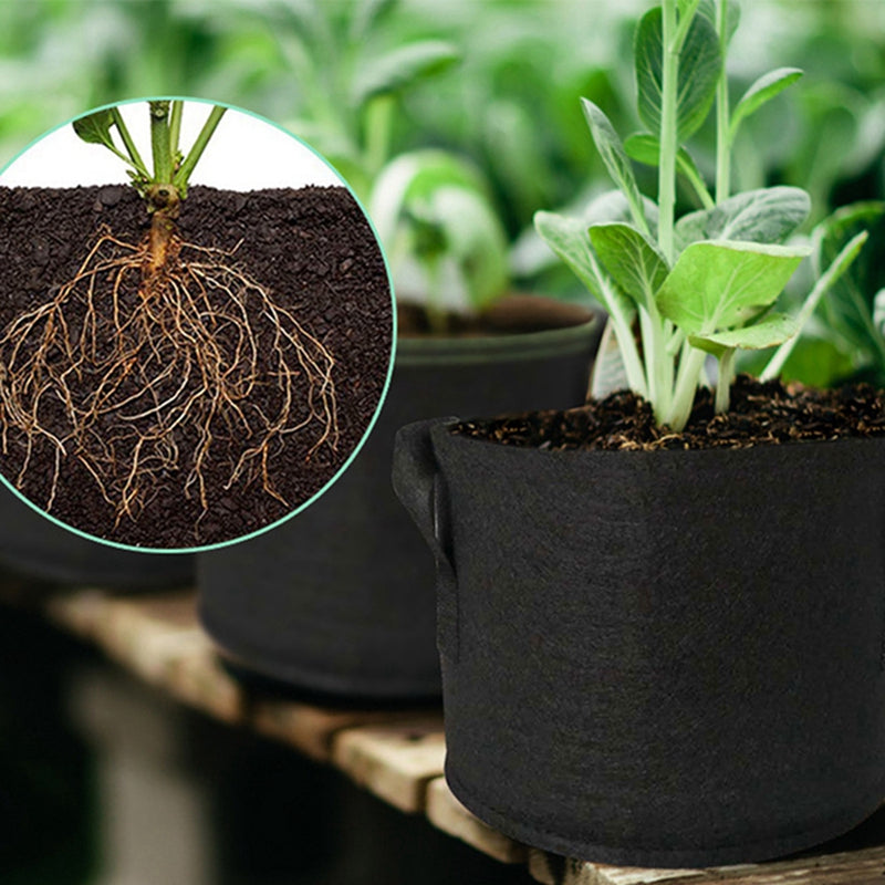 Grow Bags: Felt Planting Bag with Handles for Tomatoes & Potatoes