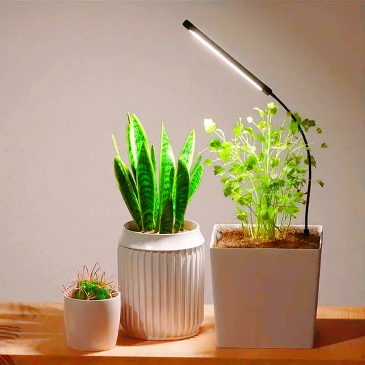 Full-Spectrum Grow Bulb Plant Lamp with USB Timer for Indoor Greening