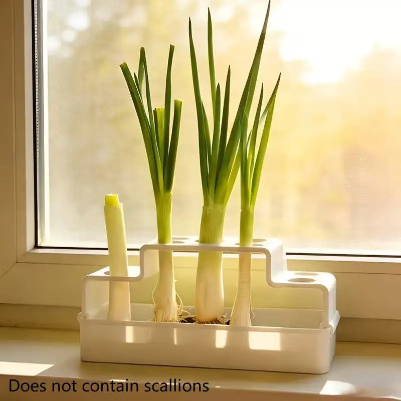 Hydroponic Scallion Growing Device EnergySaving Indoor Green Onion Growing Kit for Home and Office Decor