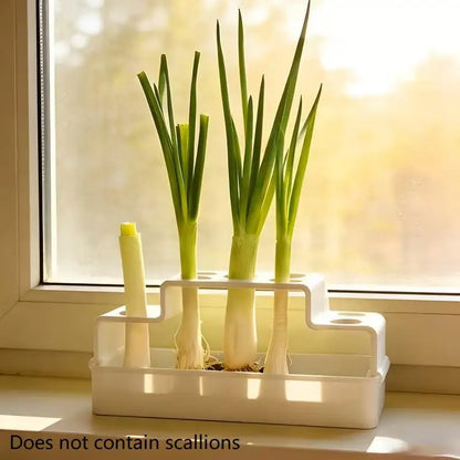 Hydroponic Scallion Growing Device EnergySaving Indoor Green Onion Growing Kit for Home and Office Decor