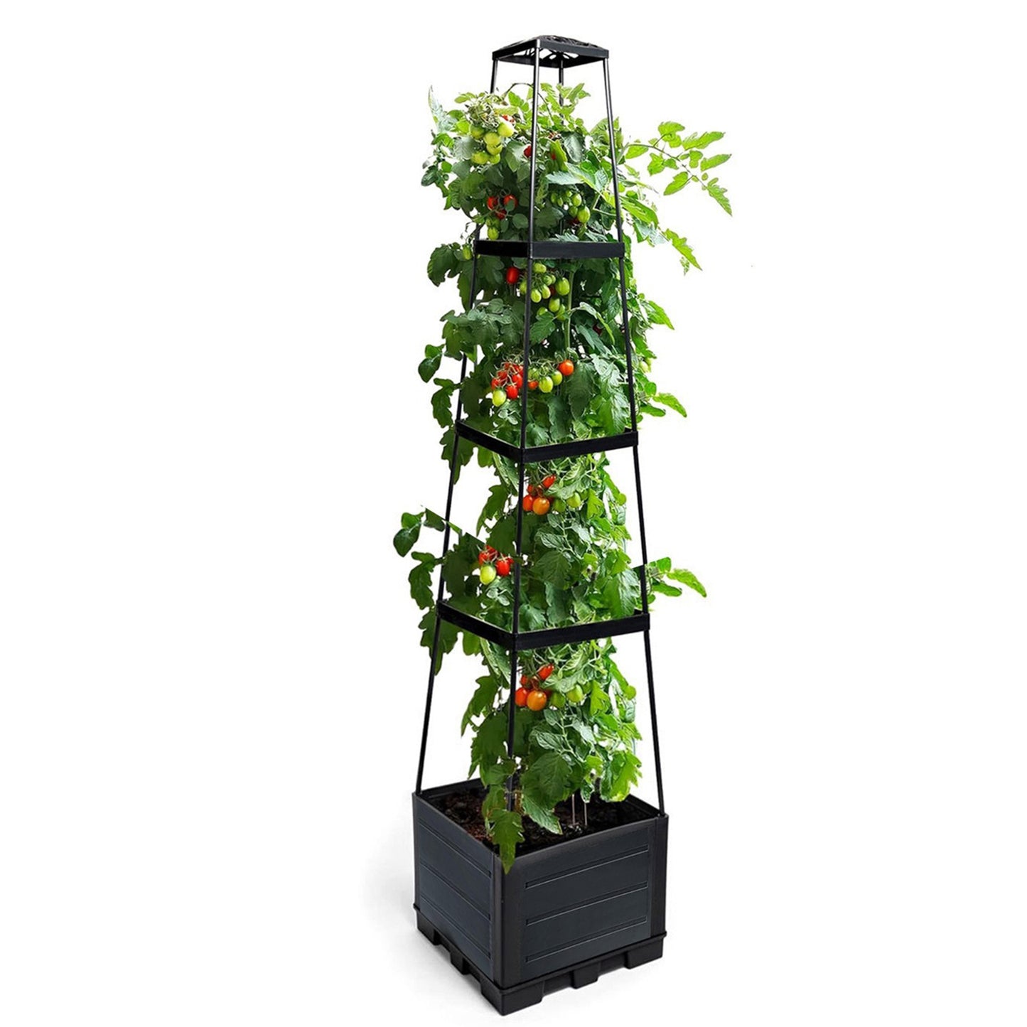 Trellis Planter Box: Raised Garden Bed for Climbing Plants
