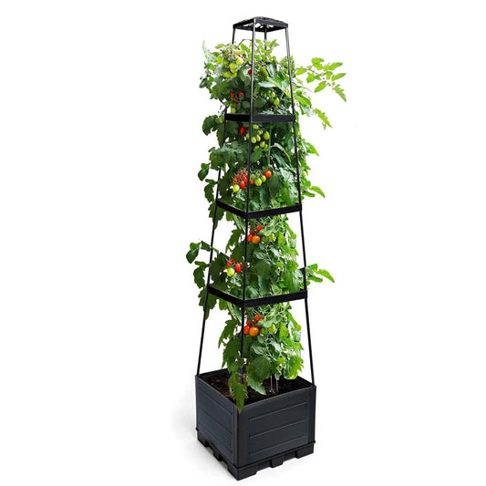 Trellis Planter Box: Raised Garden Bed for Climbing Plants