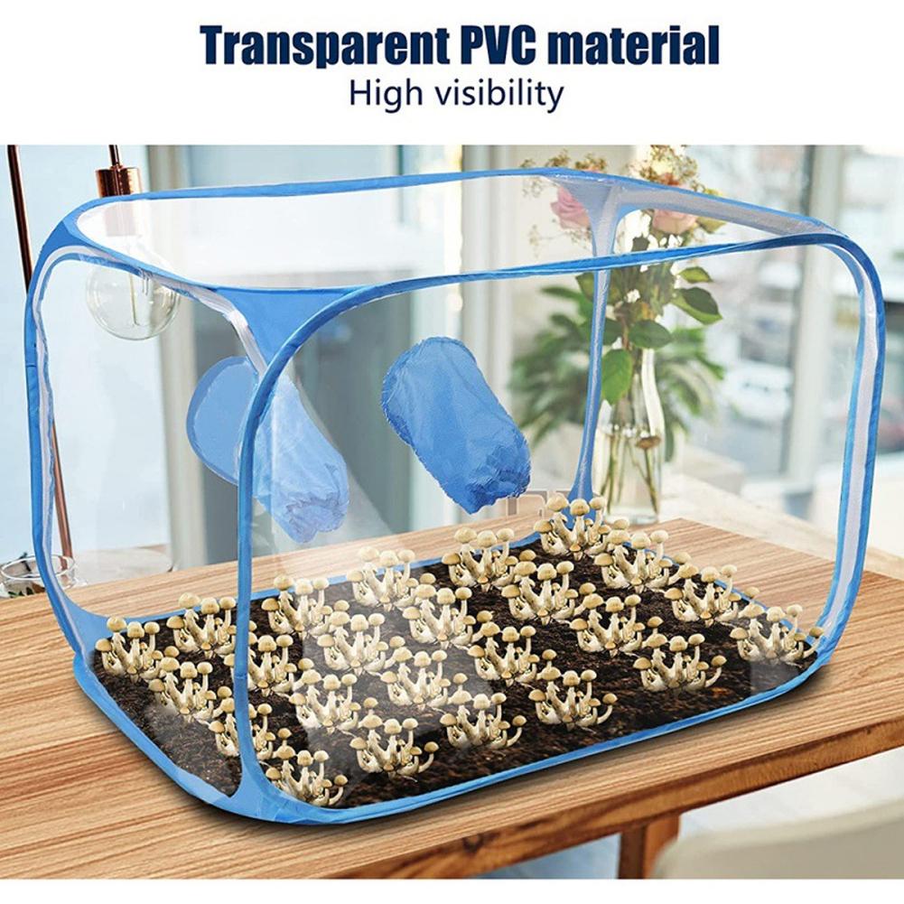 Mushroom Grow Kit: Portable Still Air Box & Fume Hood