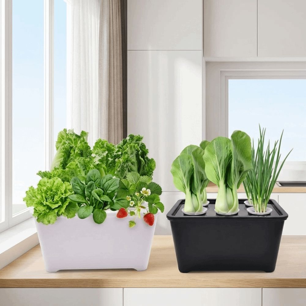 Hydroponic Grower Kit: 6-Hole Self-Watering Seedling Pots