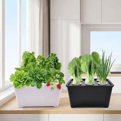 Hydroponic Grower Kit: 6-Hole Self-Watering Seedling Pots