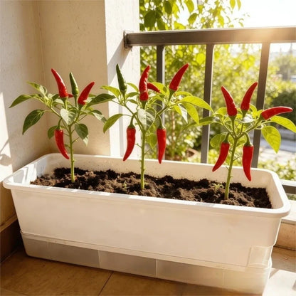 Plastic Hydroponic Plant Pots Thicken Cultivation Box Seedling Tray Self Watering Planting Container Balcony Vegetable Pot