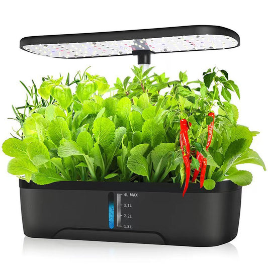 Hydroponic System Kit: 12-Hole Indoor Soilless Grow Box