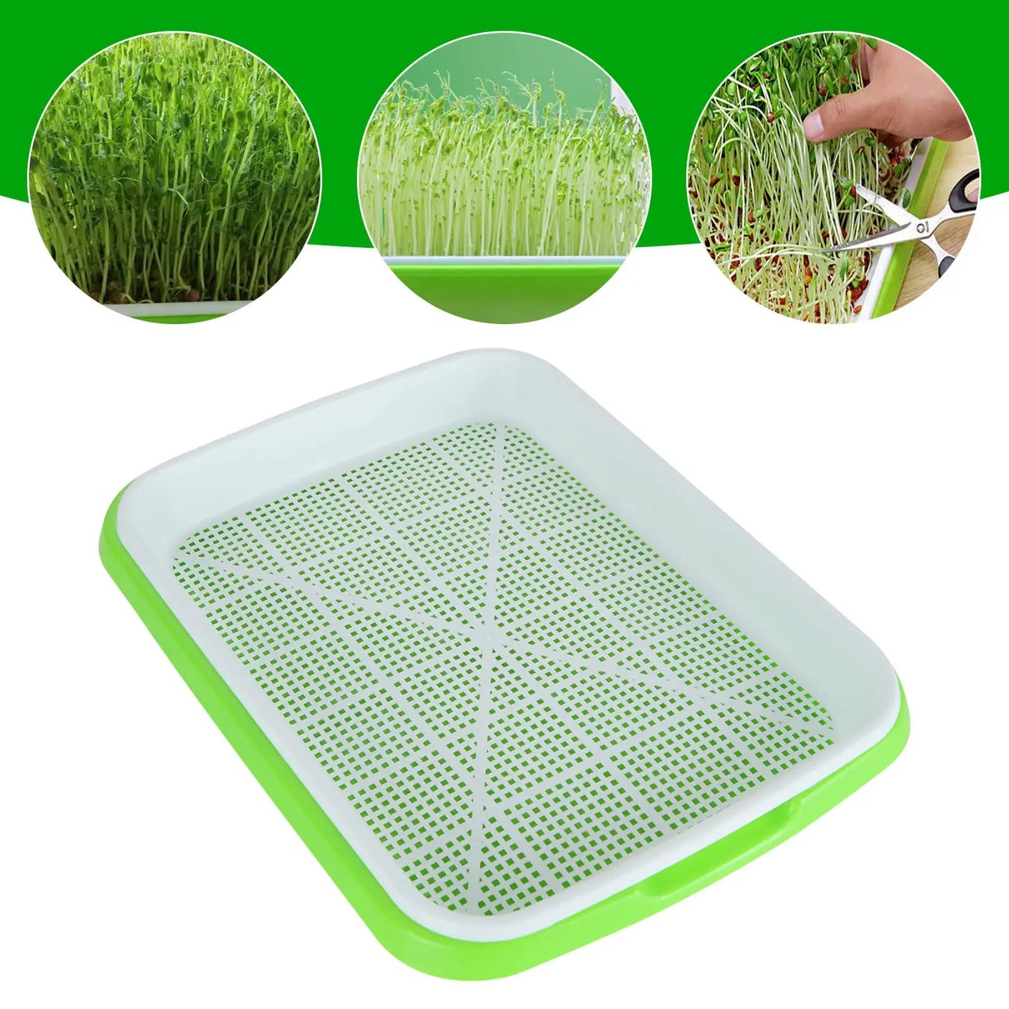 Seed Tray: Microgreens Sprouter Tray - Hydroponic Garden Starter Kit
